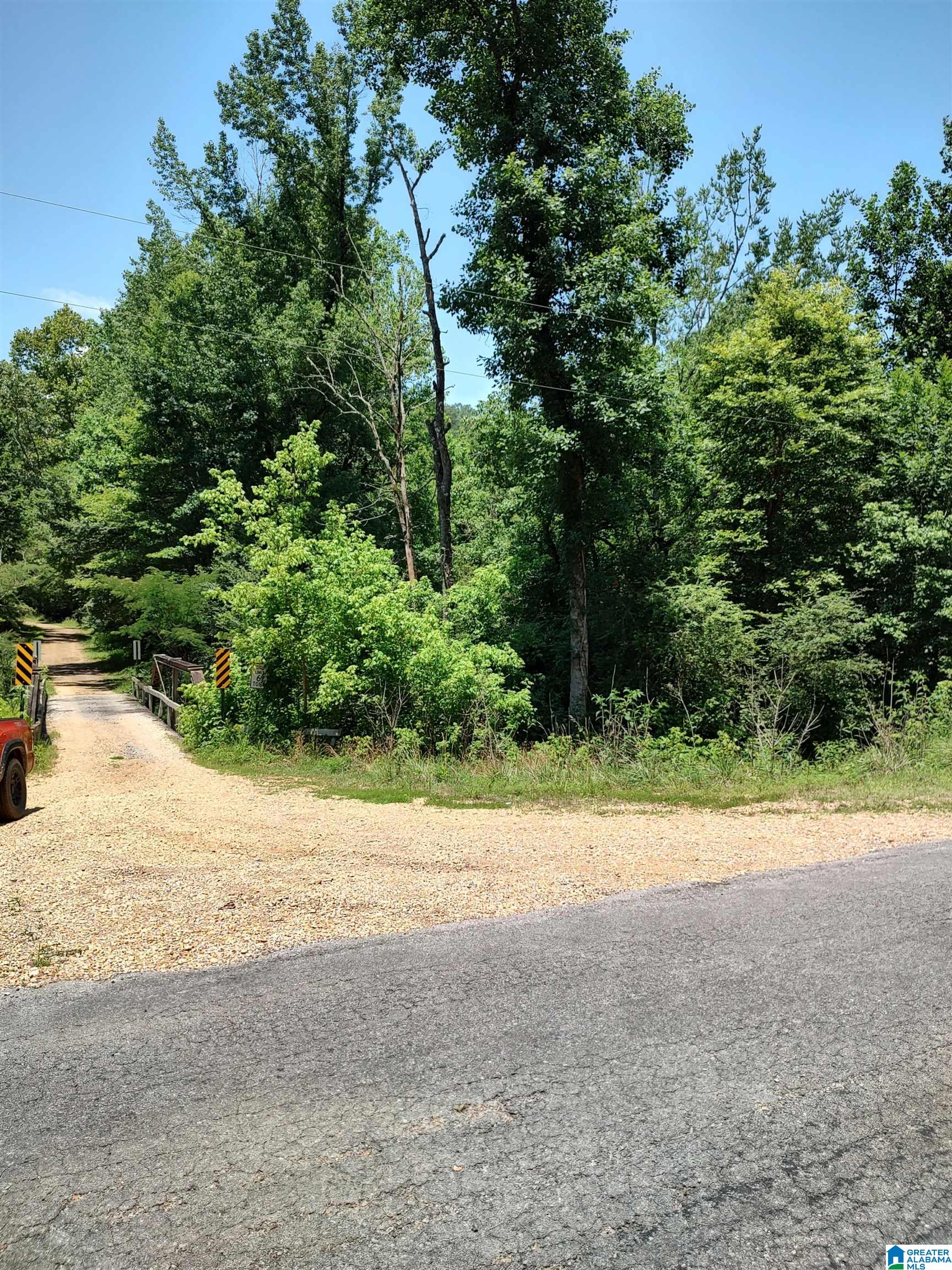 Wolf Creek Road Townley, AL 35587 - Photo 1 of 6