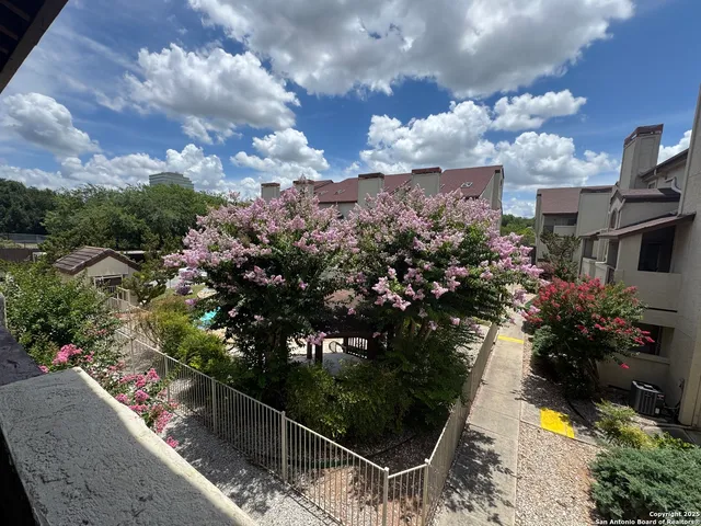 a view of a city with lots of flower around