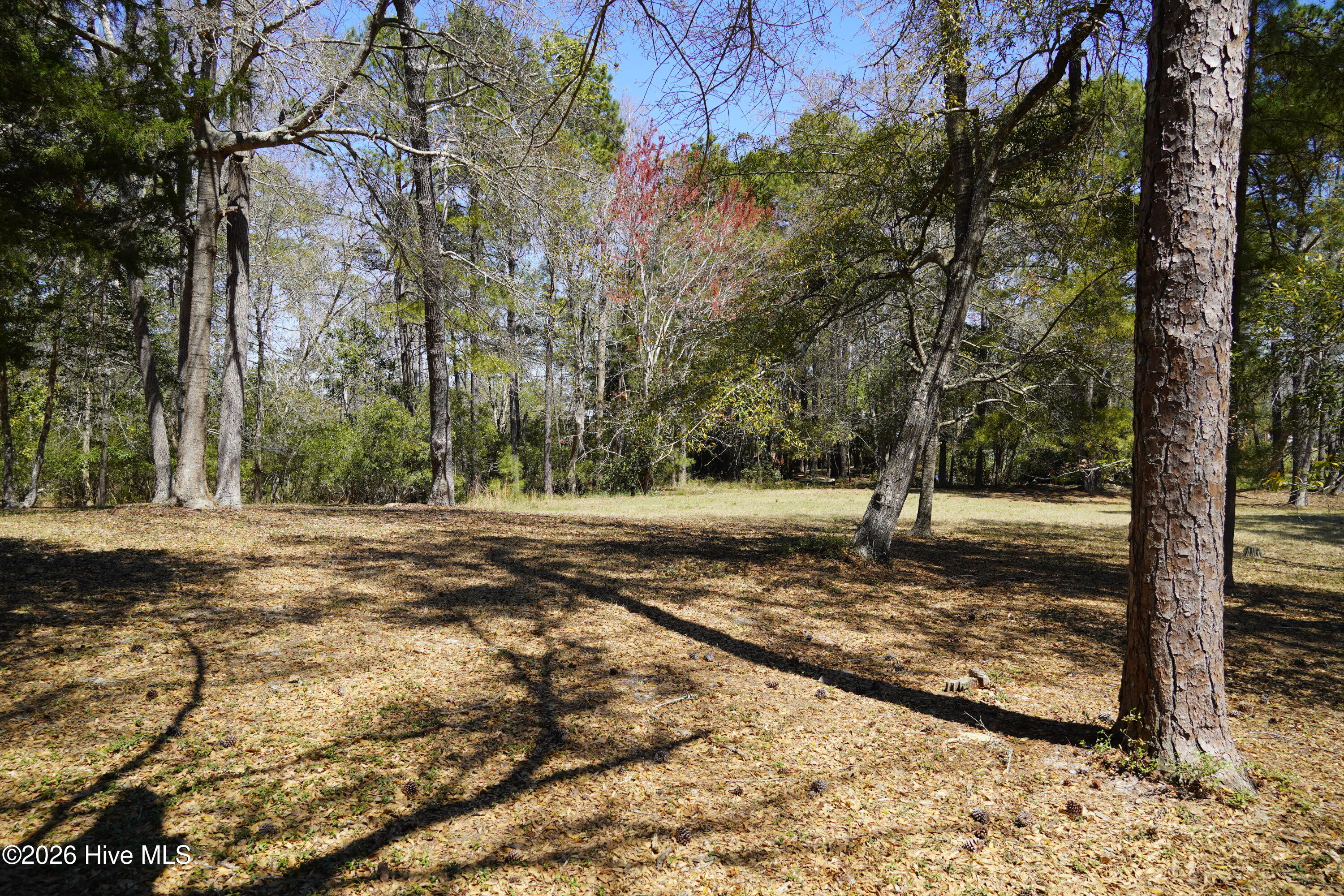 246 Genoe's Point Road Southwest Supply, NC 28462 - Photo 7 of 20 DSC00818