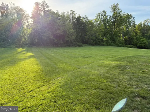 a view of a yard with a house in the background