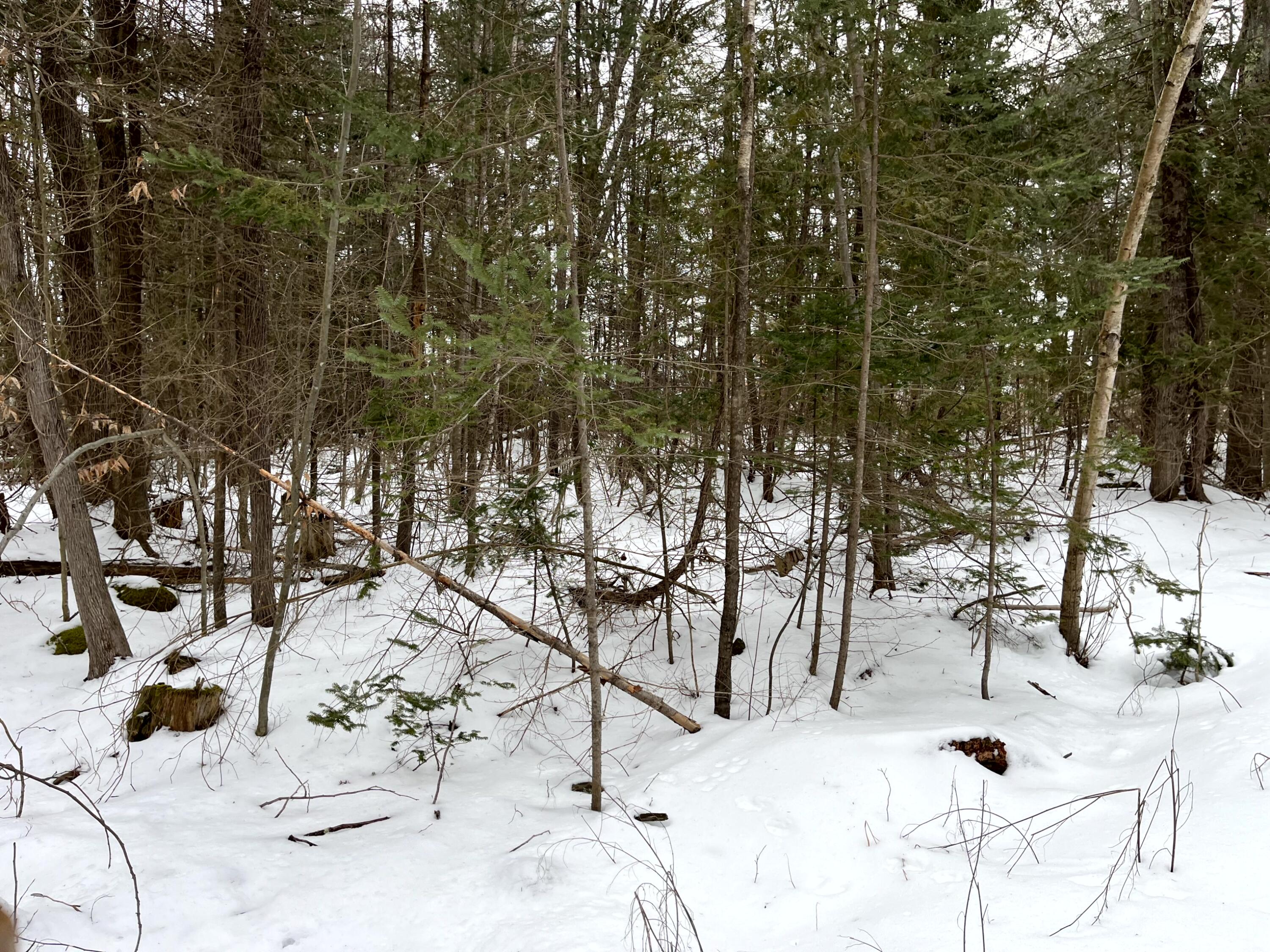 Lot 56-4l Gogan Road Waterville, ME 04901 - Photo 4 of 7 04 Exterior