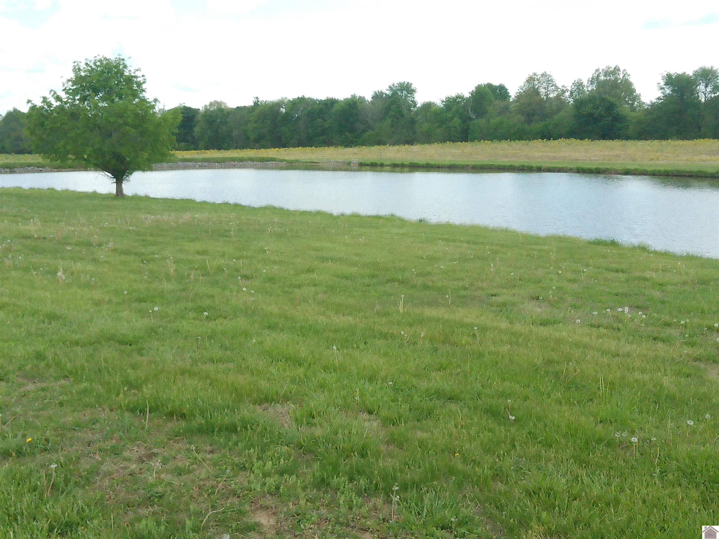 2727 Hines Road Paducah, KY 42001 - Photo 8 of 50 Photo 8