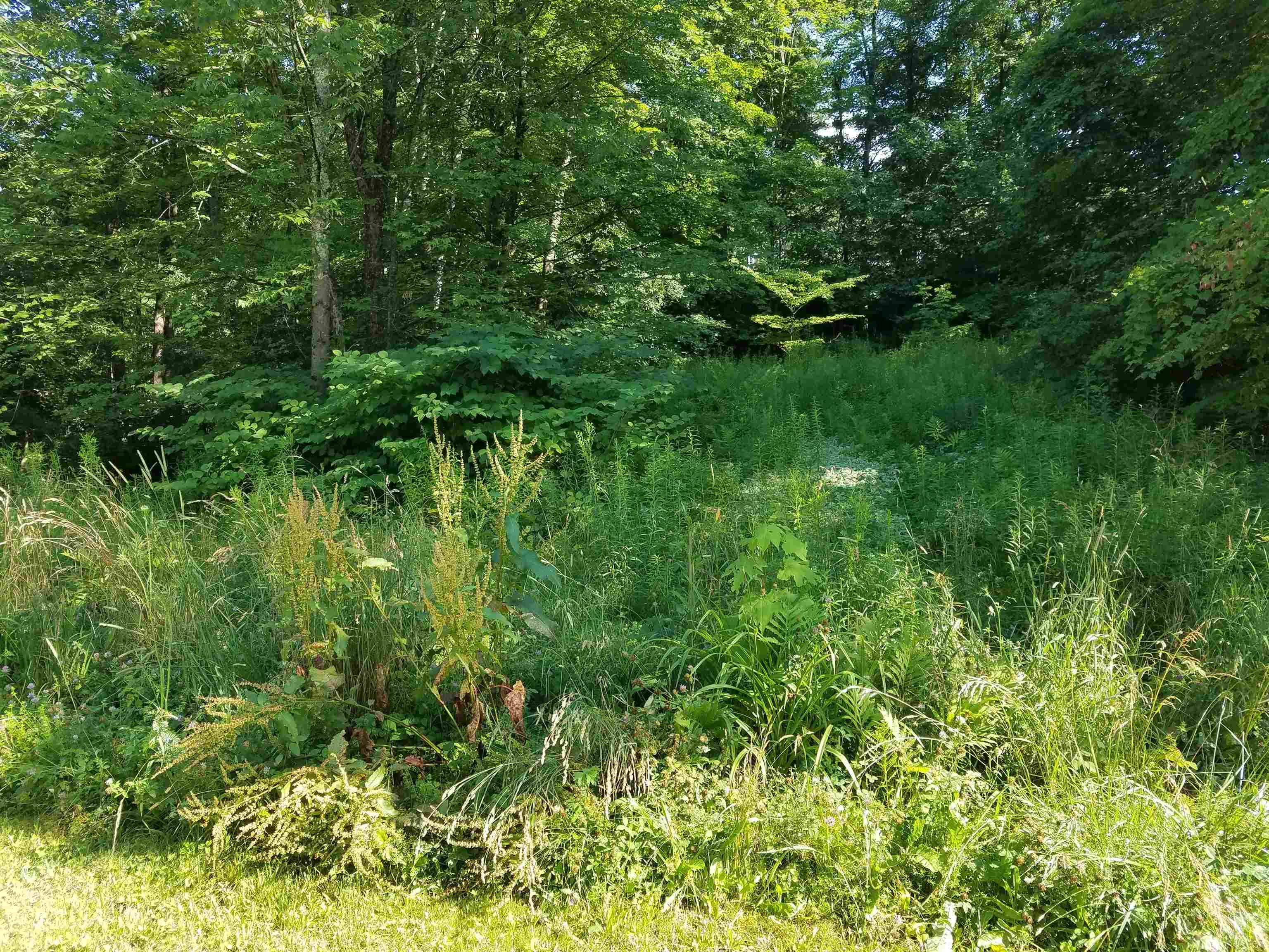 0 Furnace Road Brandon, VT 05733 - Photo 5 of 5