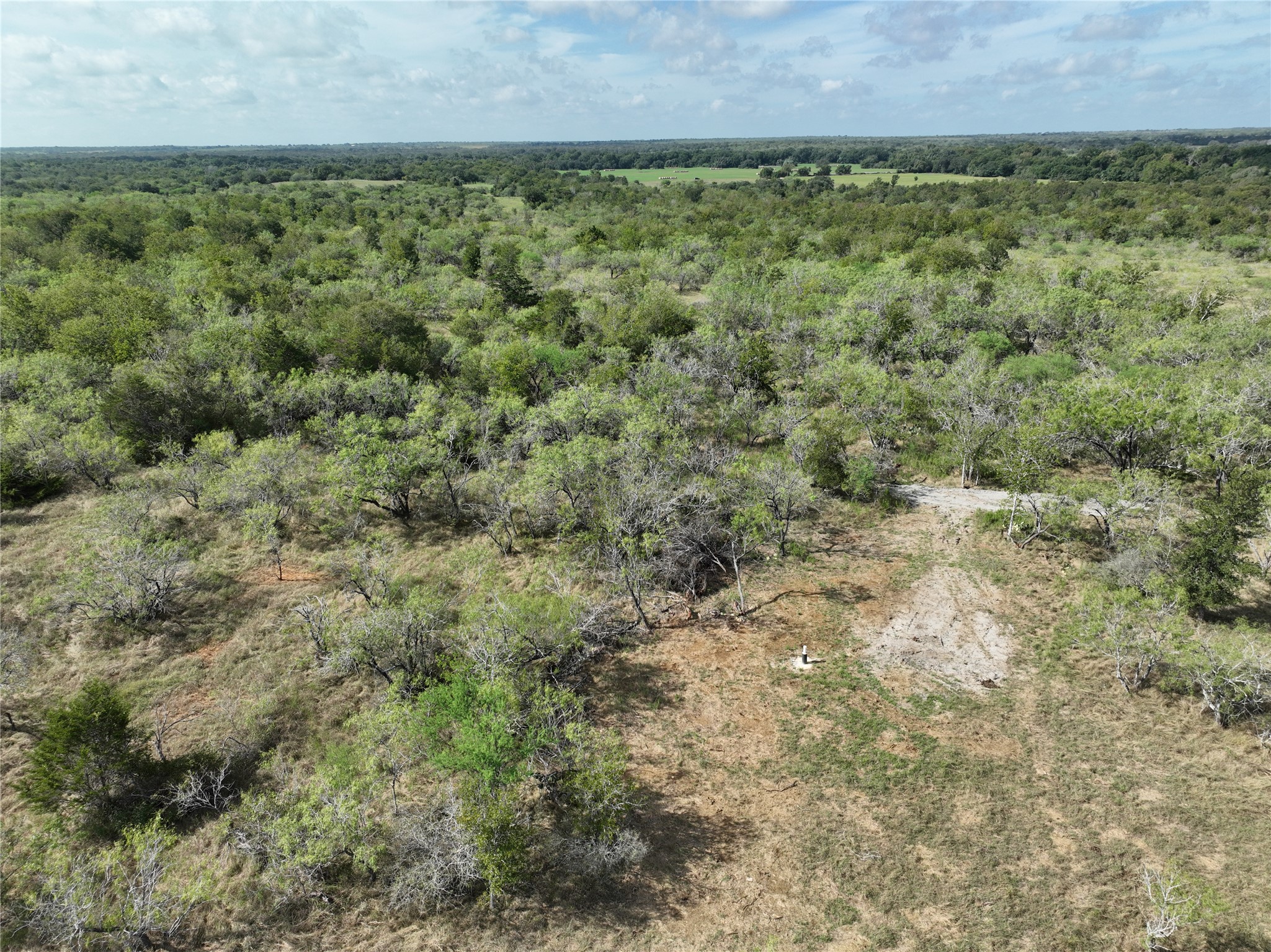424 Rd Waelder Tx 78629 Road Waelder, TX 78959 - Photo 15 of 25 Aerial view
