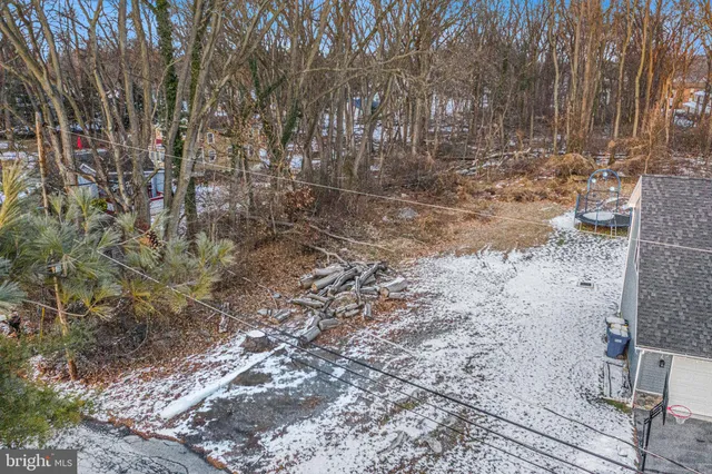 a view of a yard with trees