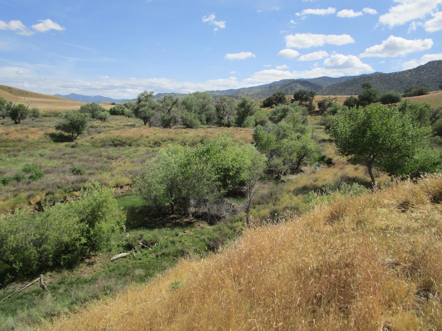 0 New Idria Road Paicines, CA 95043 - Photo 5 of 20 Gallery Image 5