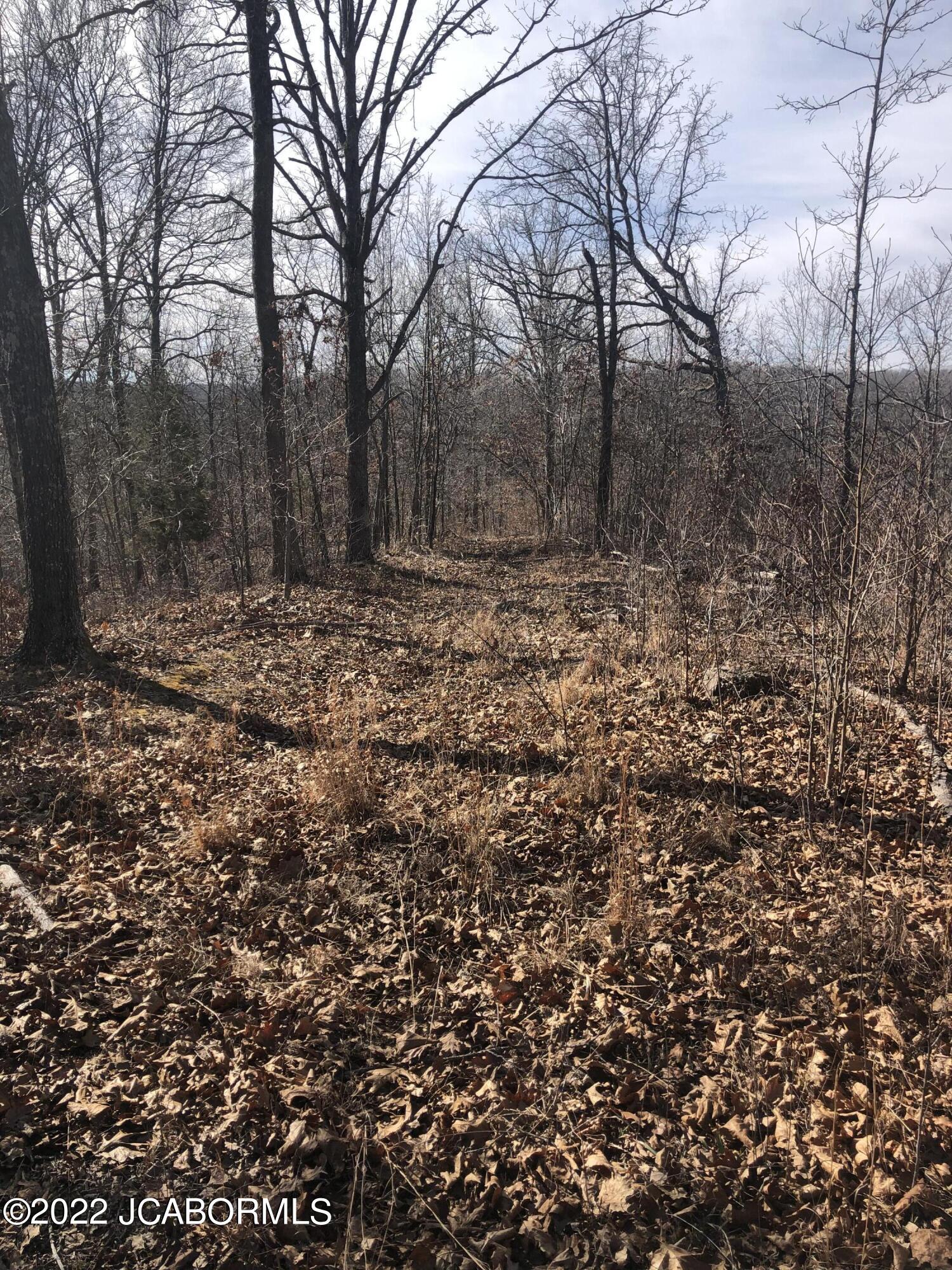 Tbd Broads Branch Road Macks Creek, MO 65786 - Photo 10 of 18