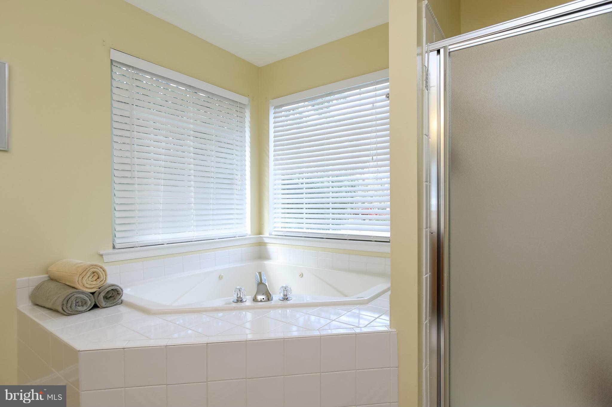 6614 Ridge Road Sykesville, MD 21784 - Photo 18 of 26 Jetted Tub and separate shower