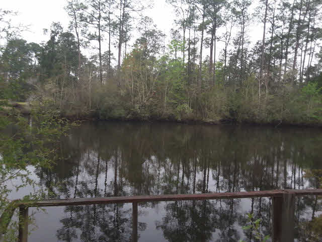 34311 Lost River Road Seminole, AL 36574 - Photo 9 of 19