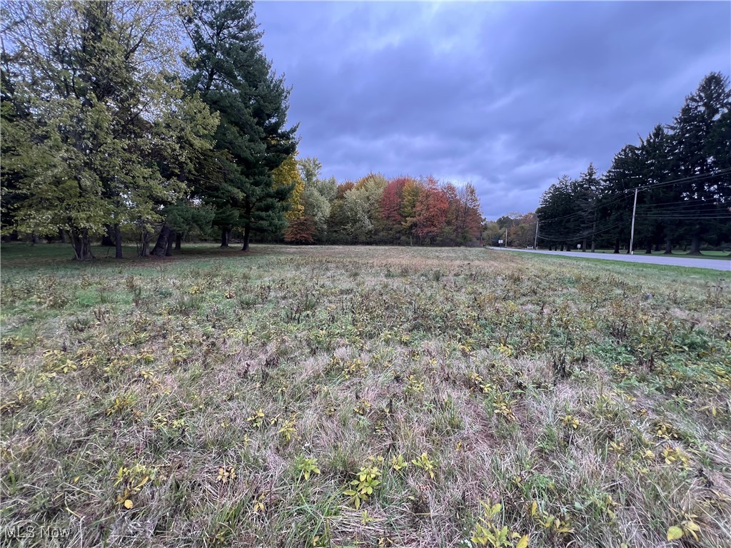 5269 South Raccoon Road Canfield, OH 44406 - Photo 9 of 10