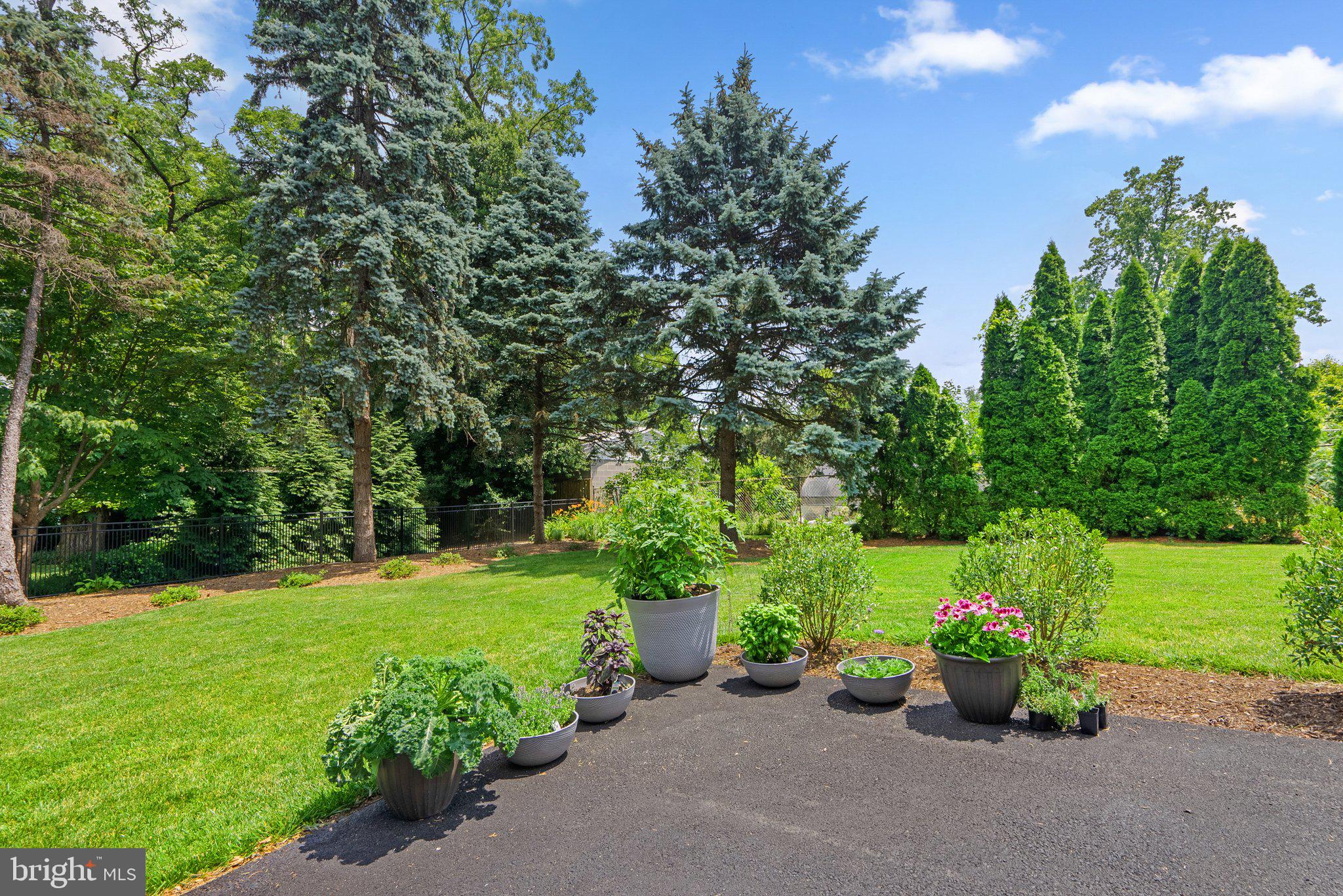 8409 Grove Street Silver Spring, MD 20910 - Photo 12 of 72 View to Southeastern Corner
