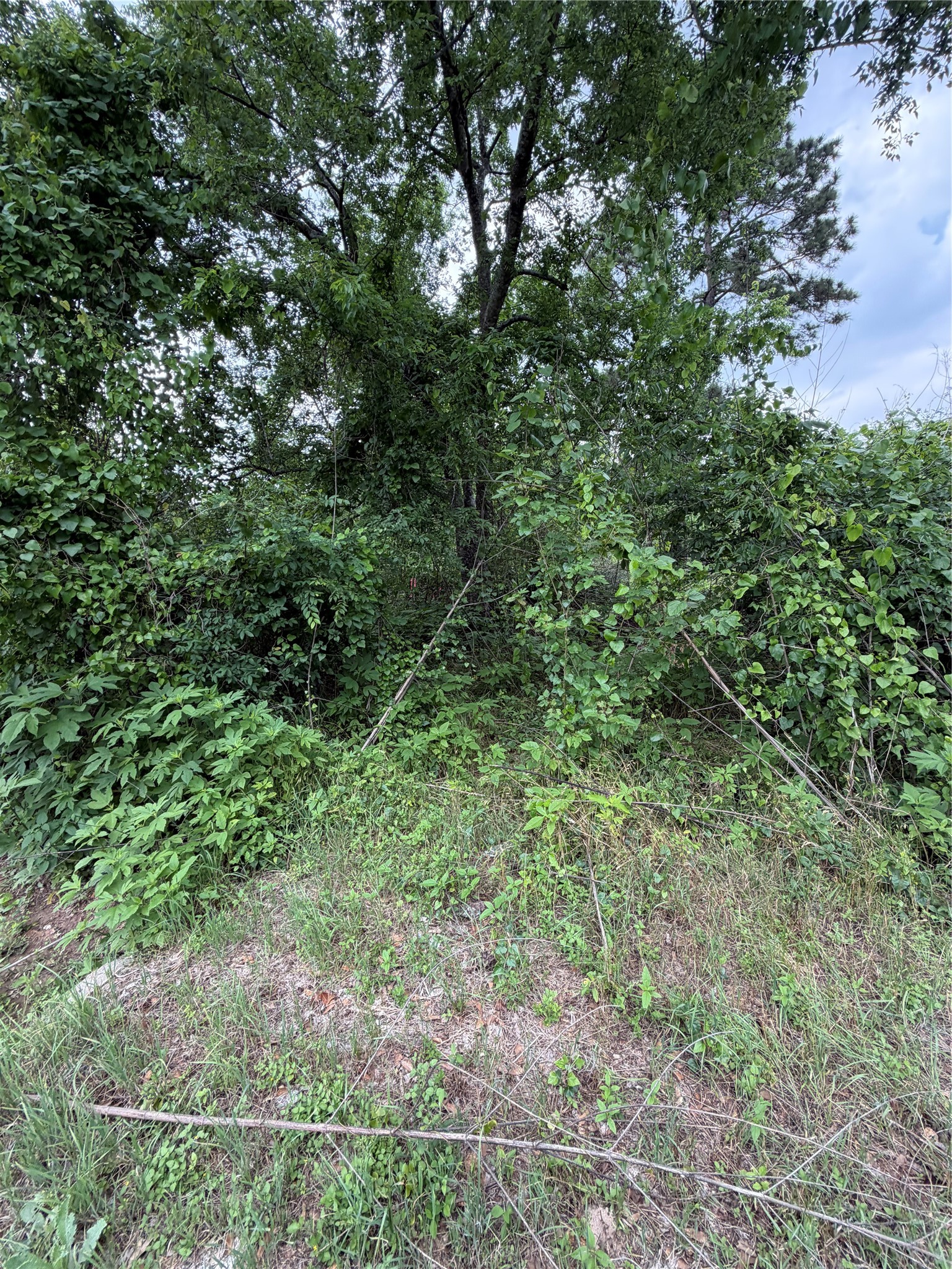 Tbd Tbd I Avenue Conroe, TX 77301 - Photo 3 of 9