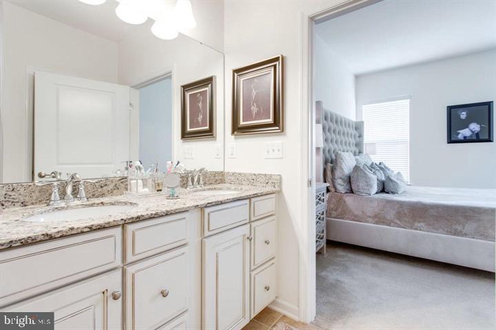 41663 McMonagle Square Aldie, VA 20105 - Photo 10 of 22 a en suite bathroom with a double vanity sink and a mirror