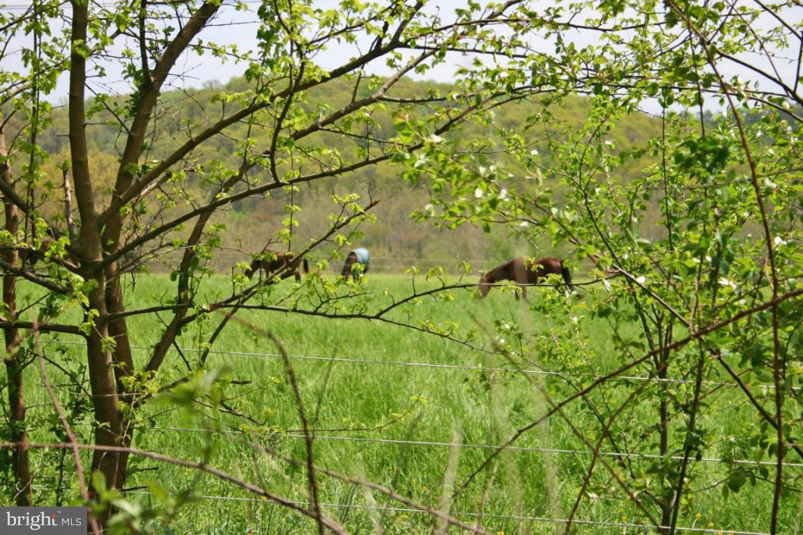 182 Hollow Road Quarryville, PA 17566 - Photo 15 of 15