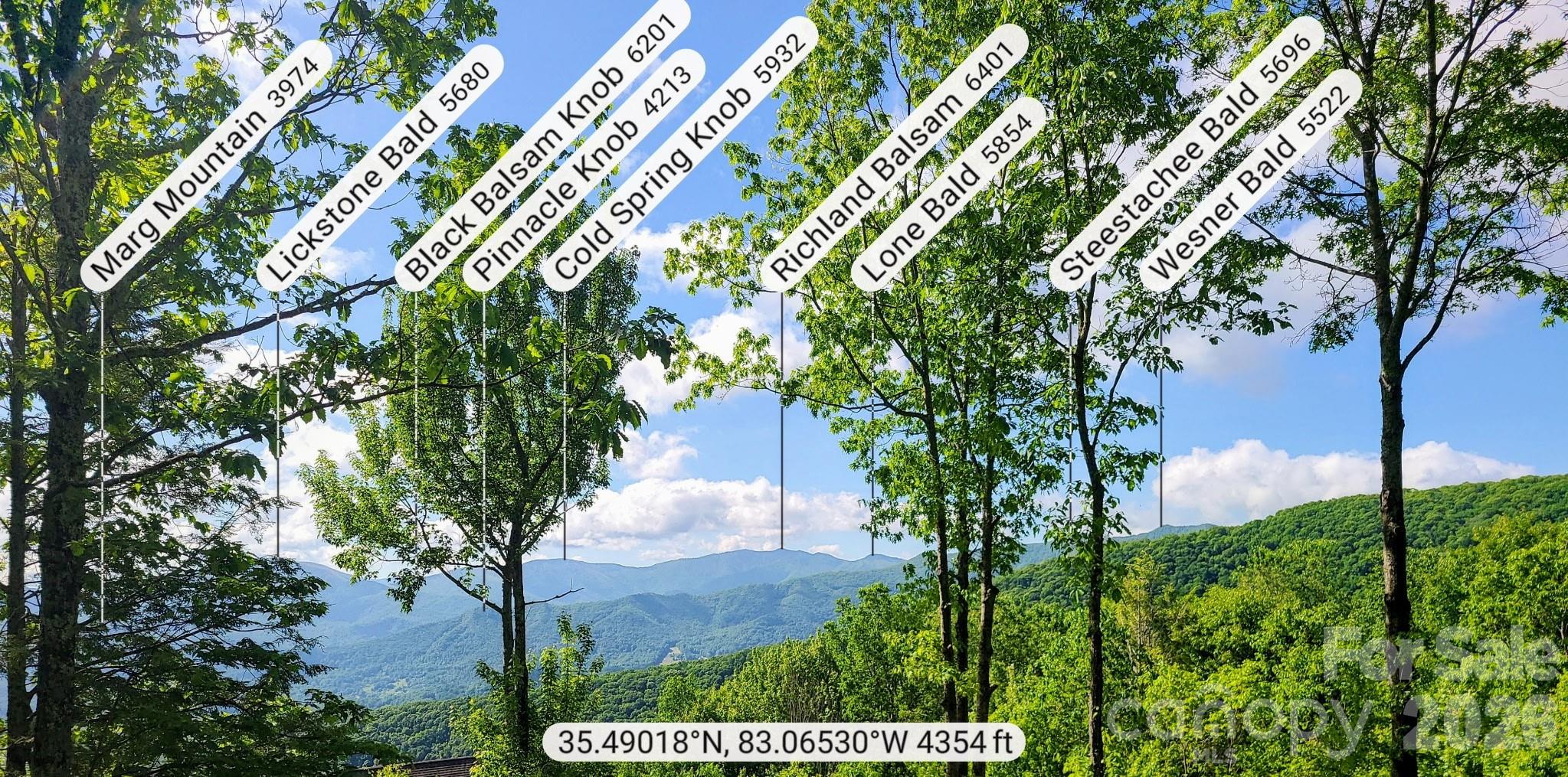 0 Rising Sun Road, Unit 338 Waynesville, NC 28786 - Photo 12 of 18 a view of a garden