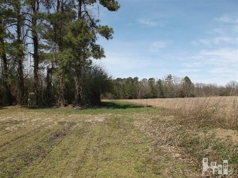 1 Page Road Clarkton, NC 28320 - Photo 1 of 7 Primary Photo