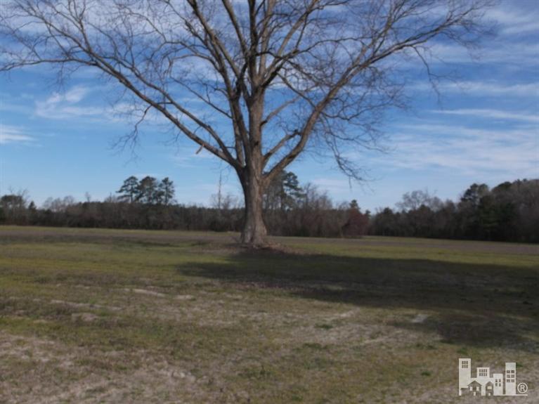 1 Page Road Clarkton, NC 28320 - Photo 3 of 7 Additional Photo