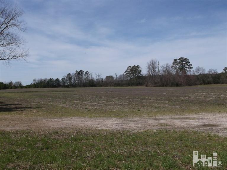 1 Page Road Clarkton, NC 28320 - Photo 7 of 7 Additional Photo