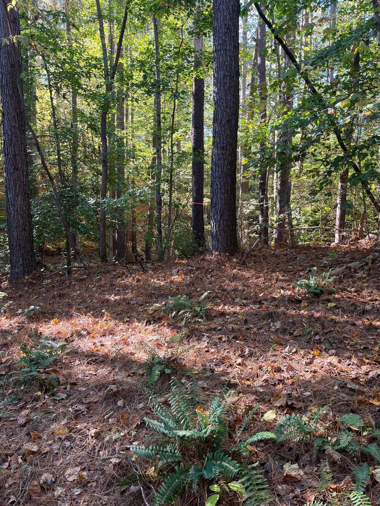 3 Dawkins Road, Unit DRF 3 Pacolet, SC 29372 - Photo 7 of 36