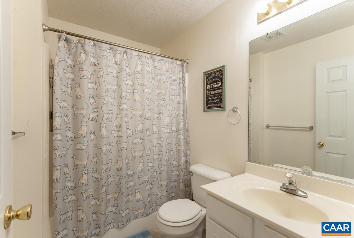 683 Turner Road Palmyra, VA 22963 - Photo 17 of 32 Gallery Image 17