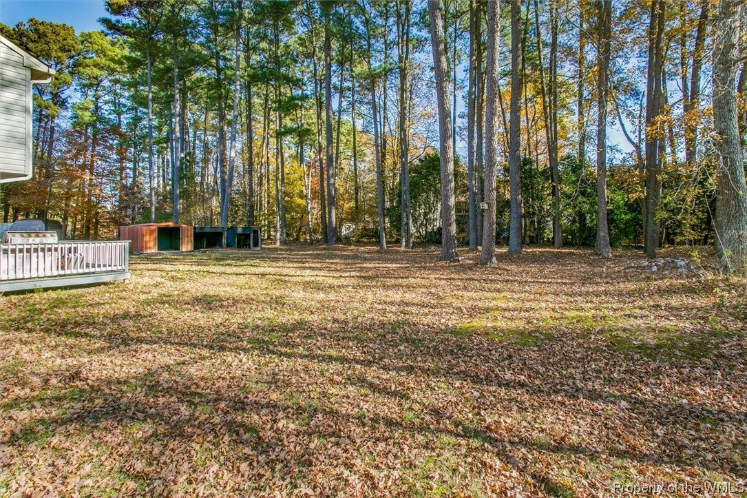 1420 Government Road Williamsburg, VA 23185 - Photo 27 of 31 Gallery Image 27