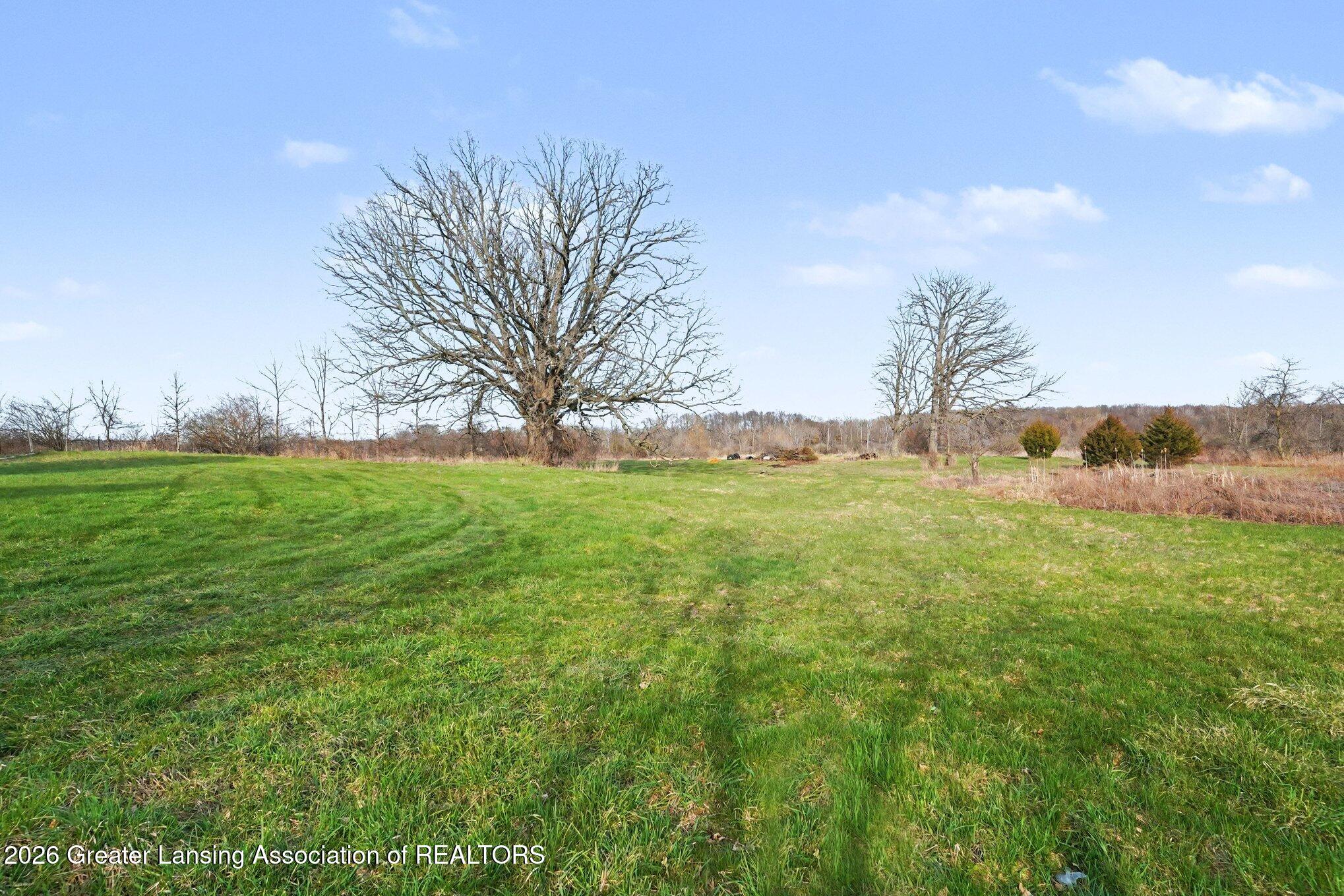 15020 Howlett Road Pinckney, MI 48169 - Photo 21 of 22 Back of Property
