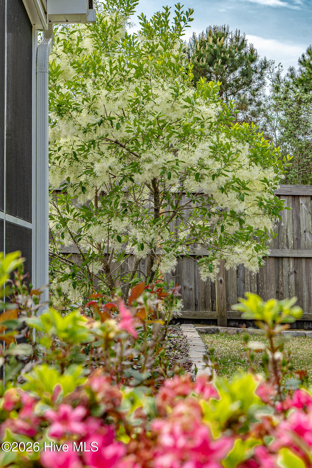 419 North Culverton Road Winnabow, NC 28479 - Photo 43 of 68 DSC09301