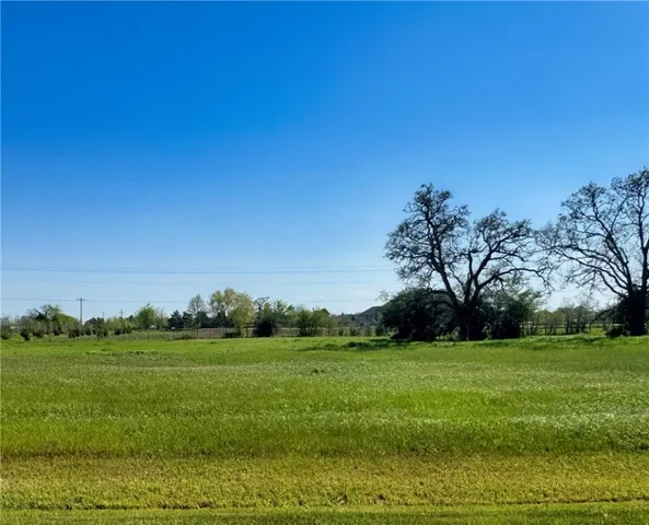 a view of a grassy field with trees