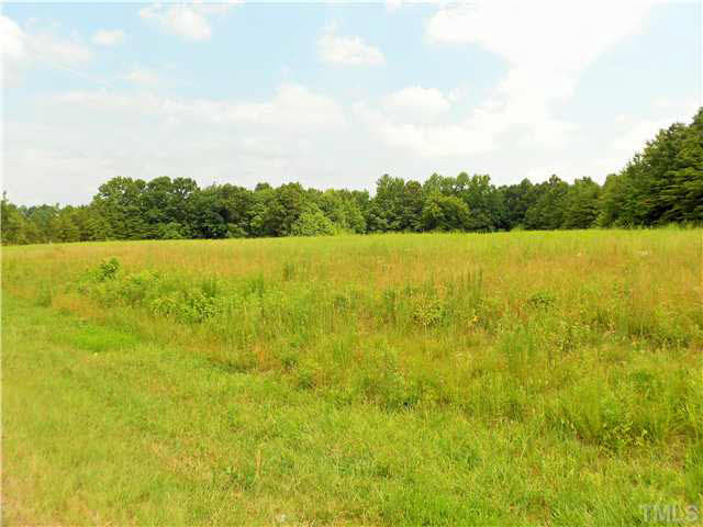 1021 Walnut Grove Road Oxford, NC 27565 - Photo 2 of 3 Gallery Image 2