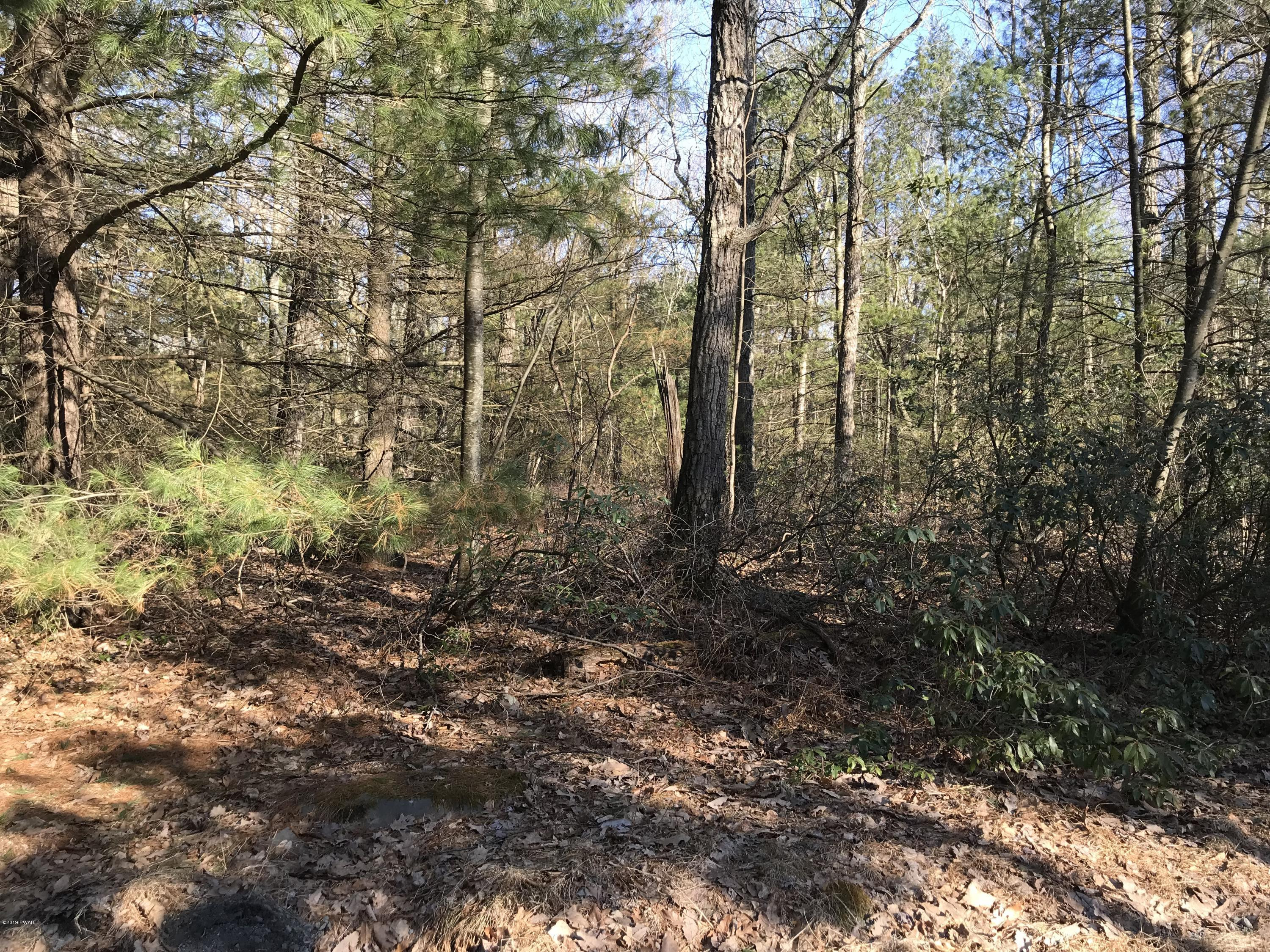 Pine Tree Road Shohola, PA 18458 - Photo 1 of 9