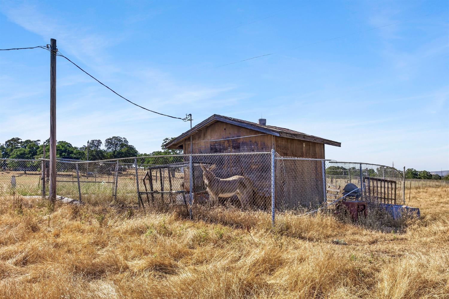 301 Drescher Tract Road Palermo, CA 95966 - Photo 6 of 10