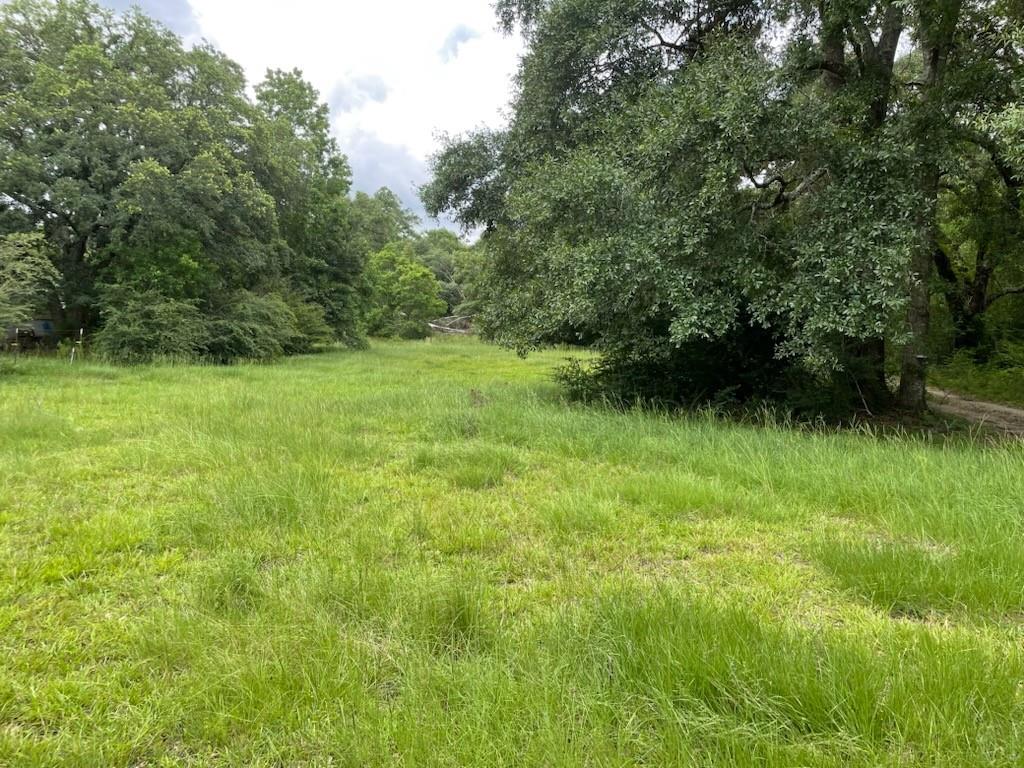 37037 Oak Ranch Road Pearl River, LA 70452 - Photo 1 of 2 Gallery Image 1