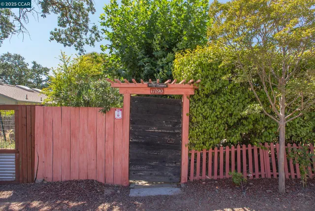 a view of a small yard