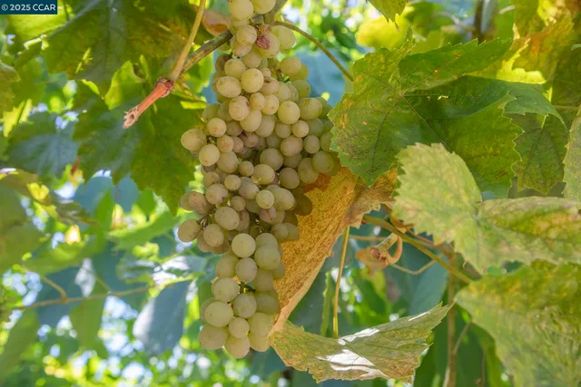 a living room with furniture and a book shelf
