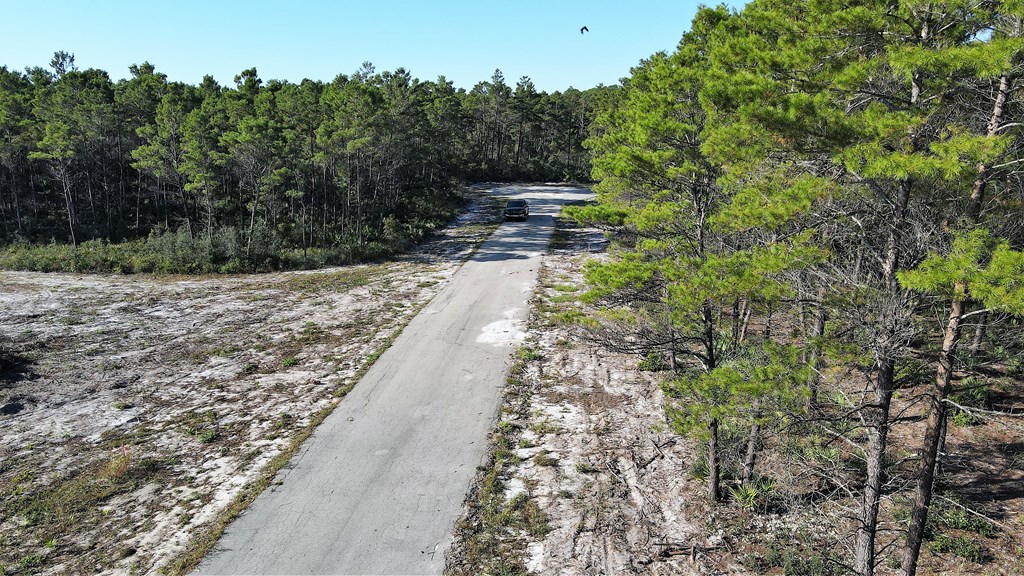 120 Shell Bay Court Carrabelle, FL 32322 - Photo 6 of 11 Gallery Image 6