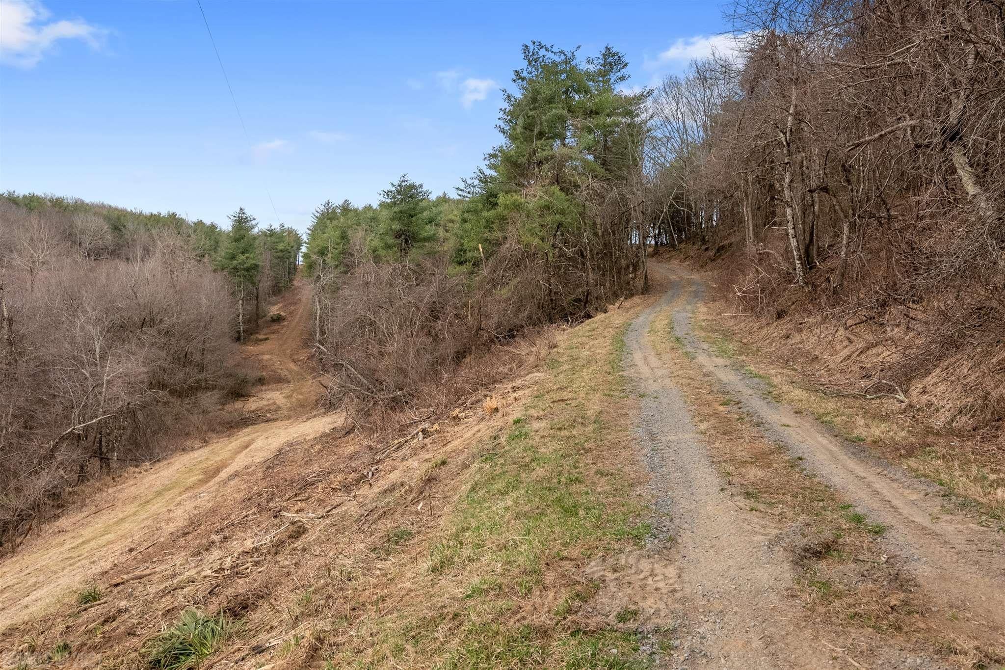 3253 Black Ridge Road Southwest Floyd, VA 24091 - Photo 58 of 75 Gallery Image 58