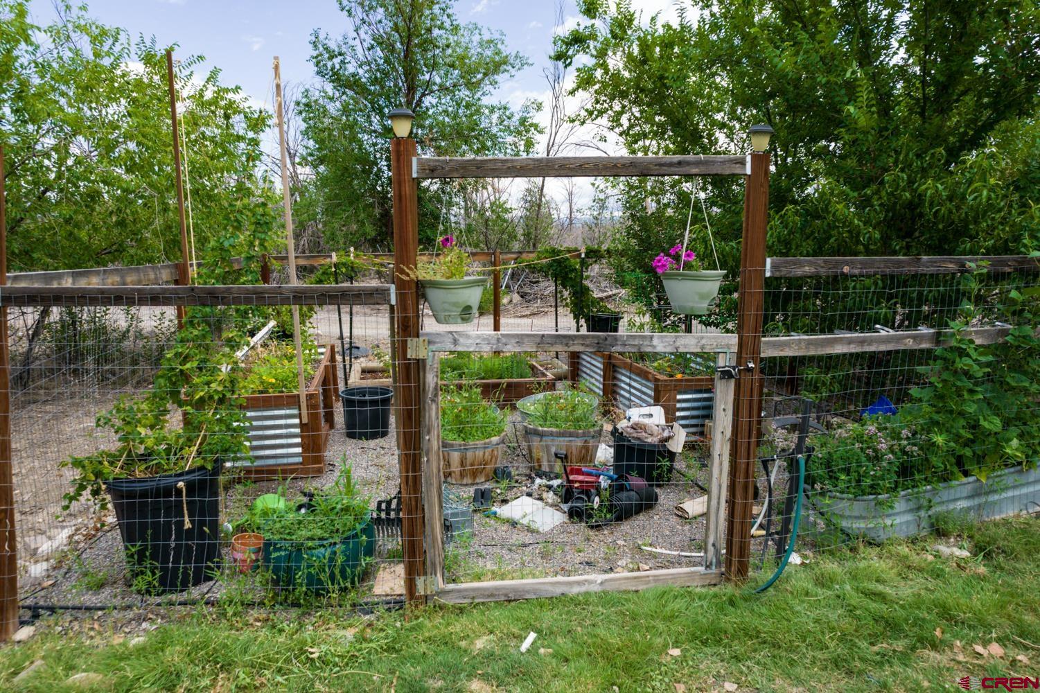 22247 H75 Road Delta, CO 81416 - Photo 31 of 35 a view of a backyard with garden and plants