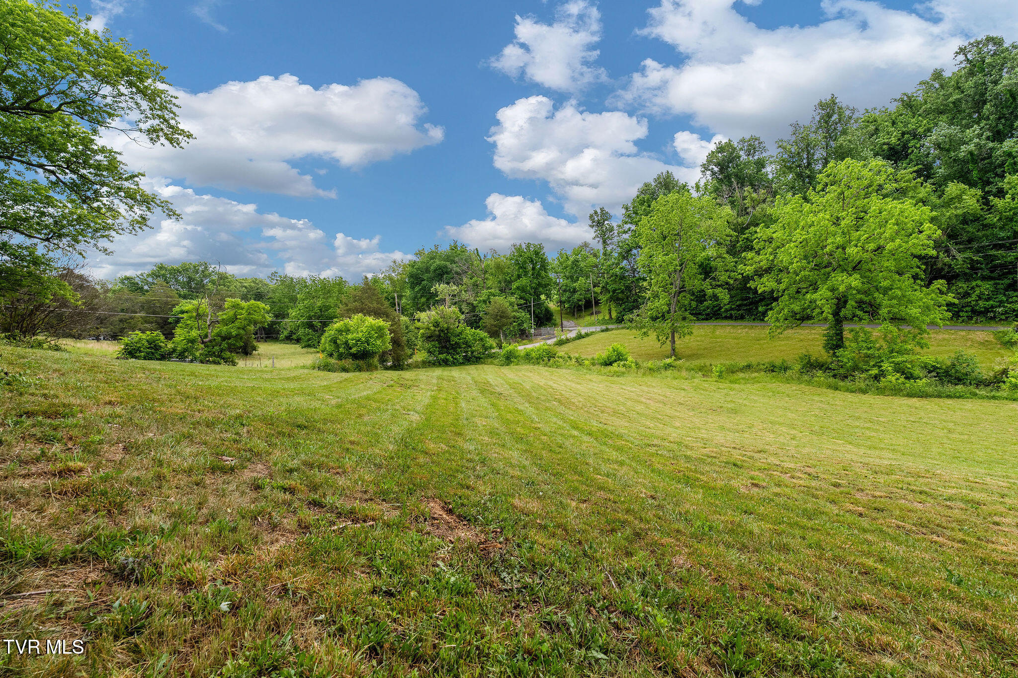 630 Briar Patch Lane Greeneville, TN 37745 - Photo 47 of 50 DSC03876