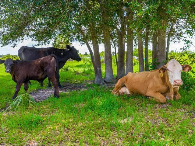 a picture of a outdoor space