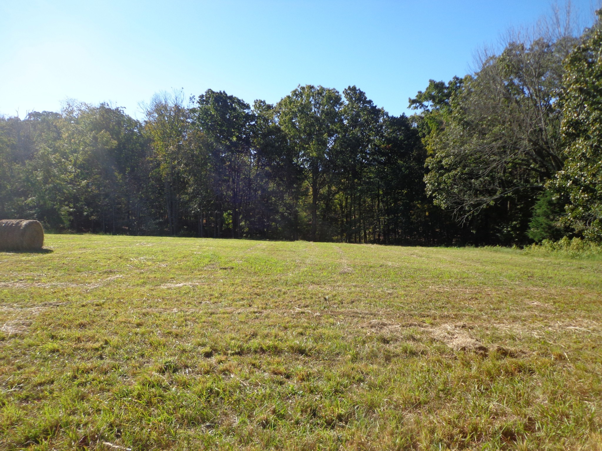 0 Halls Creek Road Waverly, TN 37185 - Photo 1 of 18 a view of an outdoor space and a yard