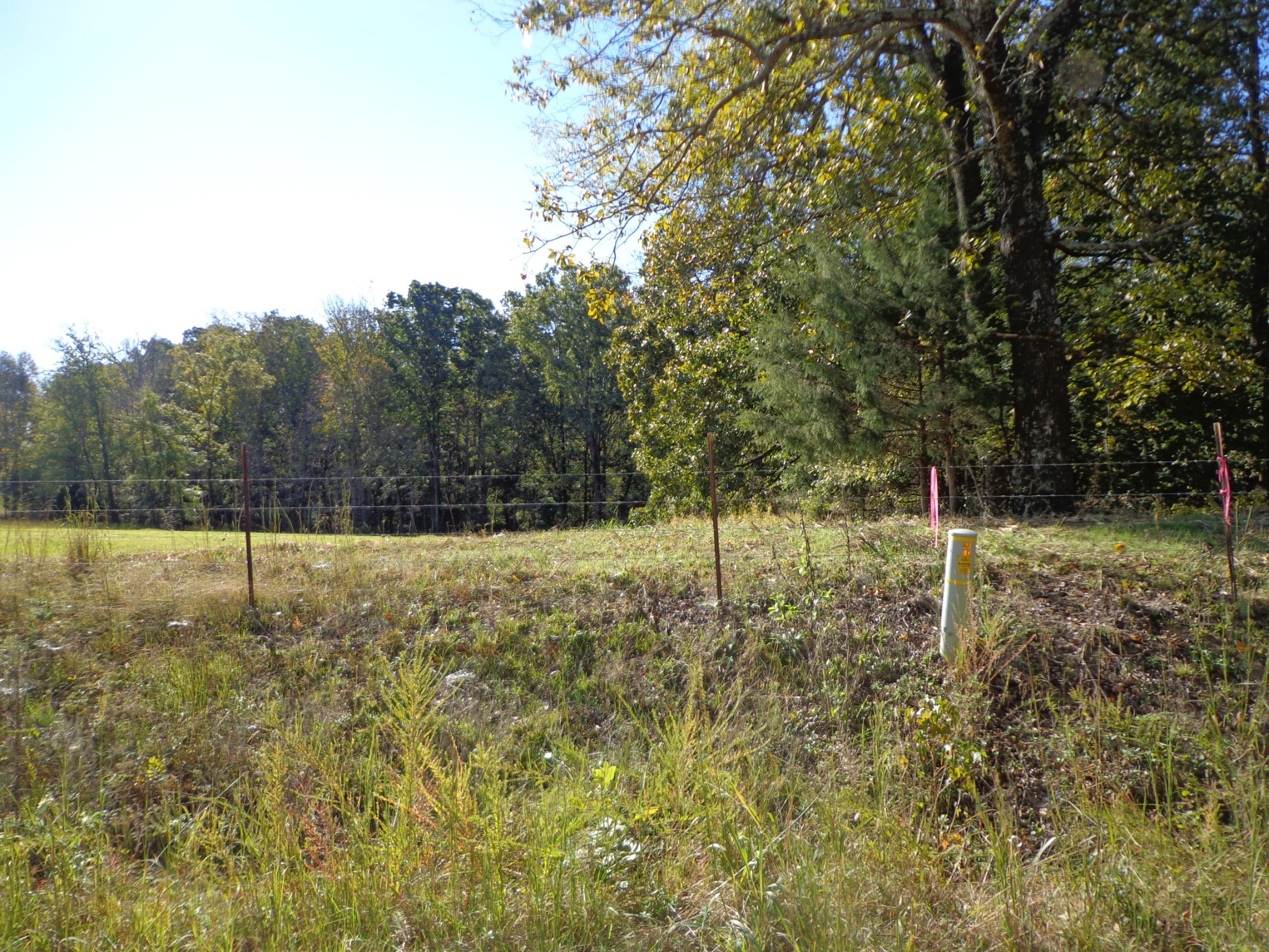 0 Halls Creek Road Waverly, TN 37185 - Photo 15 of 18 a view of a outdoor space