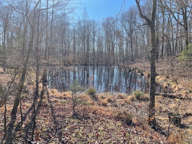0 Halls Creek Road Waverly, TN 37185 - Photo 5 of 18 a view of garden