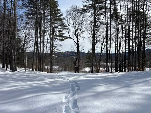 $169,000 | 0 Lower Waterford Road, Waterford, VT 05819