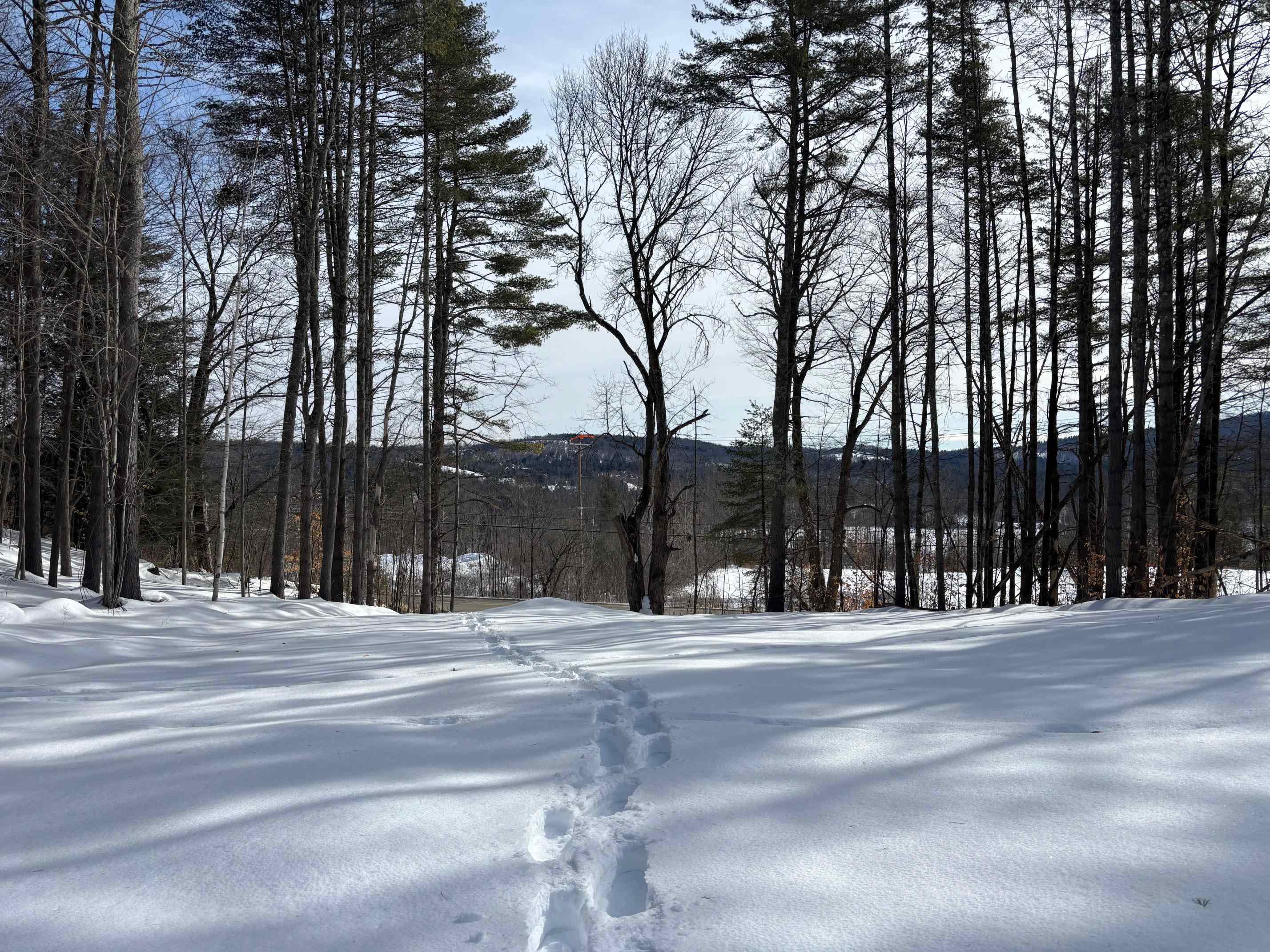 0 Lower Waterford Road Waterford, VT 05819 - Photo 11 of 21