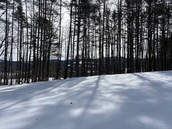 $169,000 | 0 Lower Waterford Road, Waterford, VT 05819