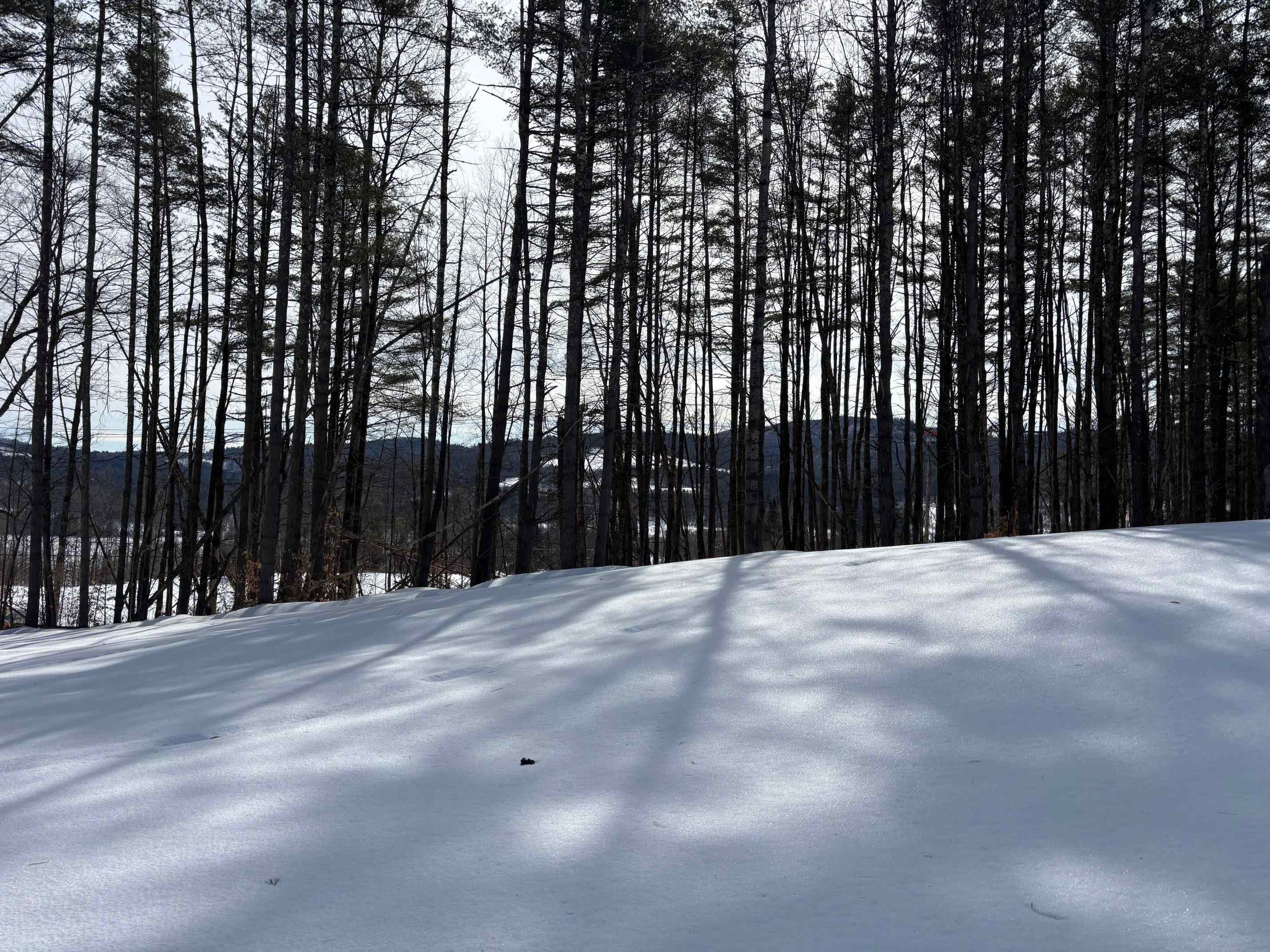 0 Lower Waterford Road Waterford, VT 05819 - Photo 12 of 21