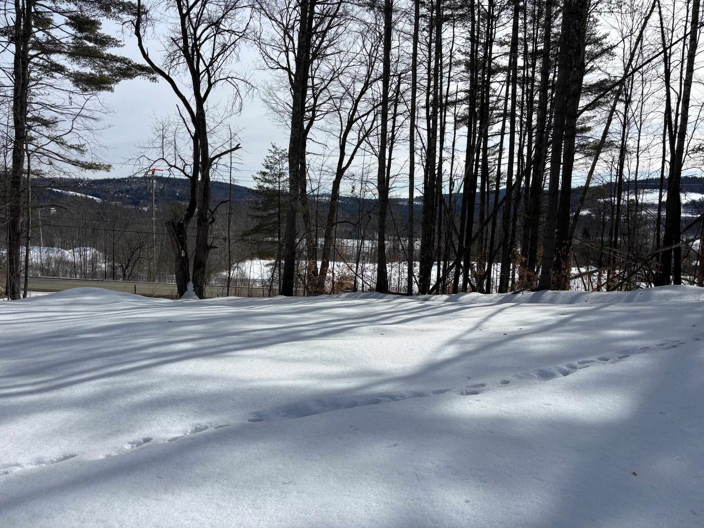 0 Lower Waterford Road Waterford, VT 05819 - Photo 13 of 21