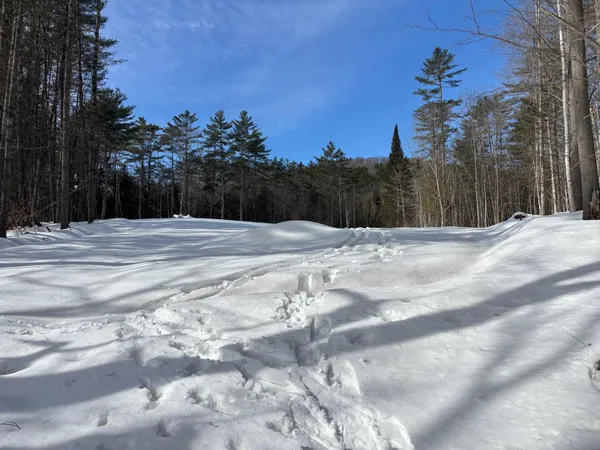 $169,000 | 0 Lower Waterford Road, Waterford, VT 05819