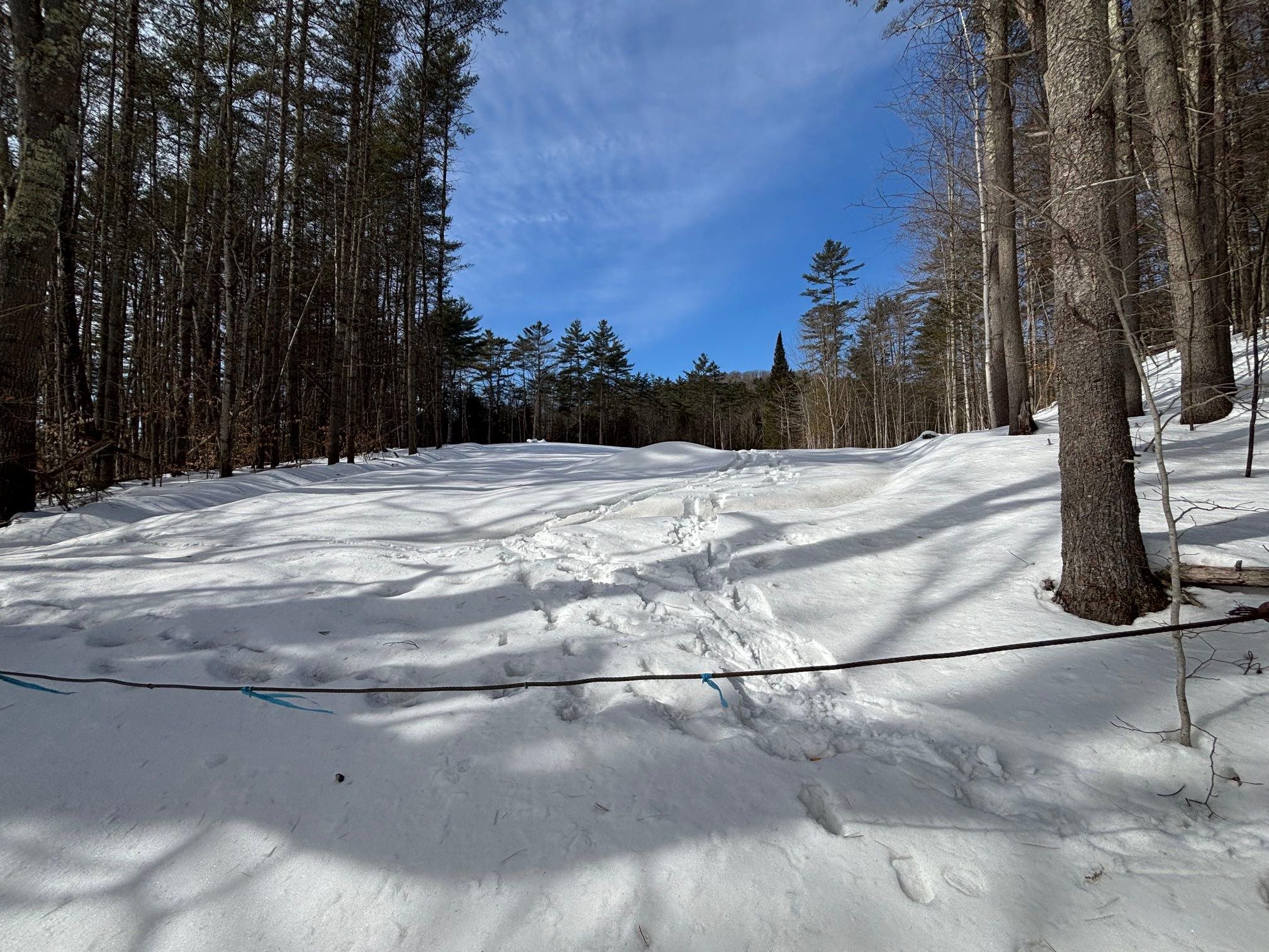 0 Lower Waterford Road Waterford, VT 05819 - Photo 16 of 21