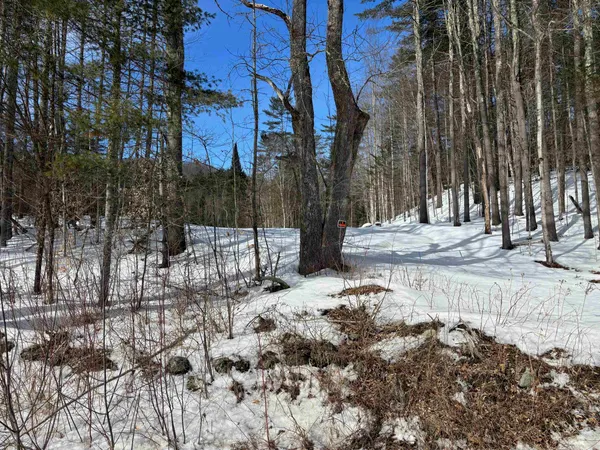 $169,000 | 0 Lower Waterford Road, Waterford, VT 05819